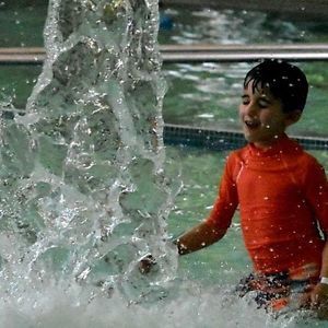 Meet your Posher, Paul